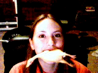 margo_chicken.jpg